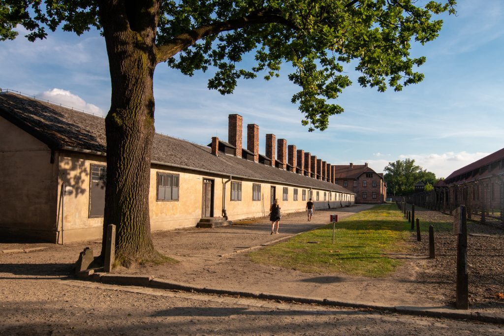 奥斯维辛集中营火葬场建筑的外观，前景中生长着一棵树