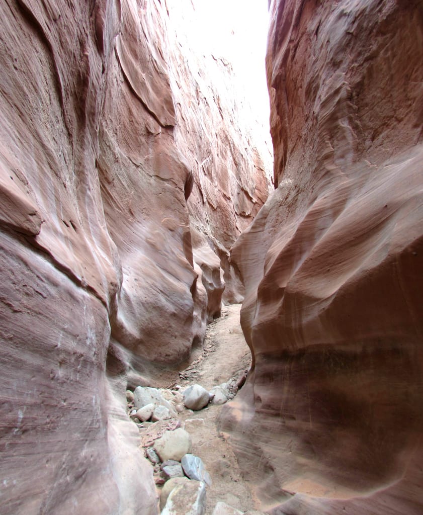犹他州南部的幽灵峡谷，是美国户外运动情侣的最佳蜜月目的地之一!