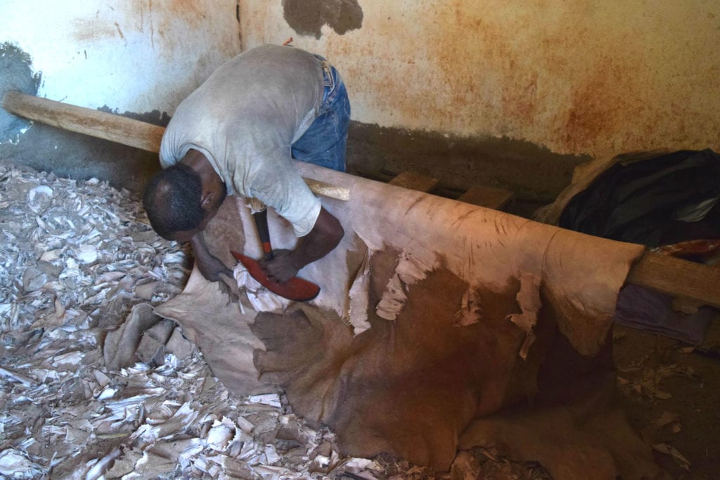 在摩洛哥马拉喀什的一家皮革厂，一名男子俯身在兽皮上处理兽皮