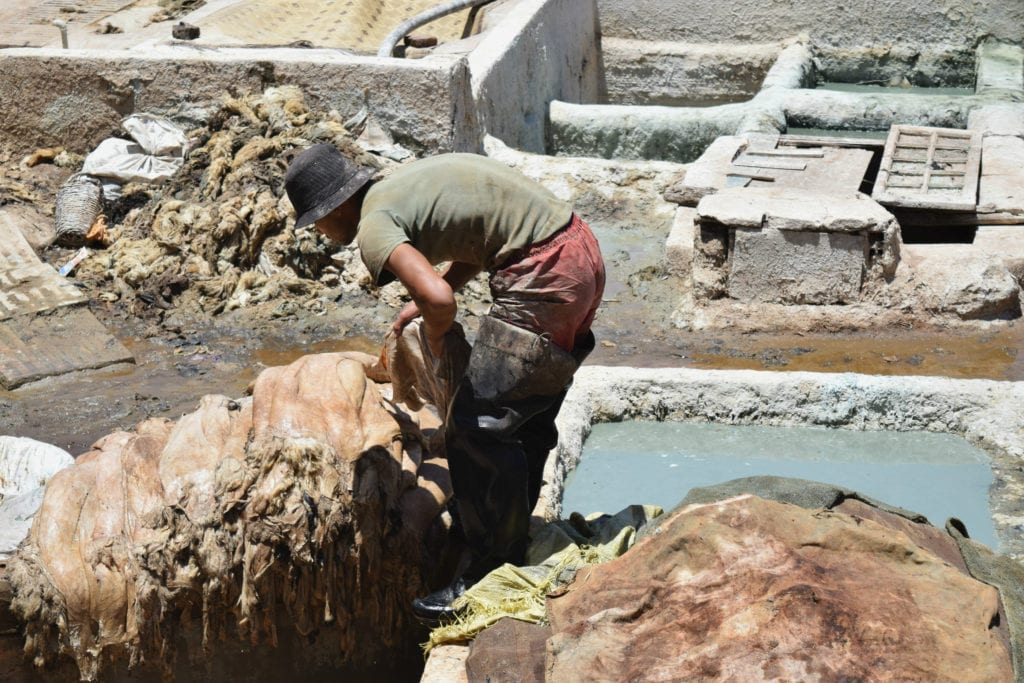 摩洛哥一家皮革厂，一名男子正在从一堆兽皮中挑选一副来处理