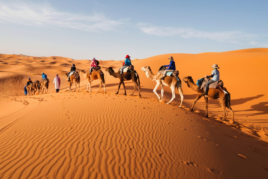 摩洛哥沙漠旅游团骑着骆驼穿越撒哈拉沙漠