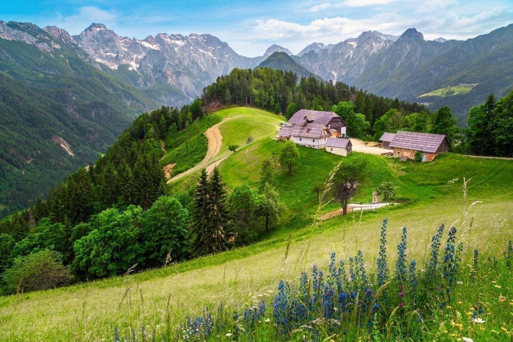 斯洛文尼亚的洛加尔山谷，前景中可以看到蓝色的花朵，背景中是阿尔卑斯山脉的山峰，照片中间右边是两座小房子