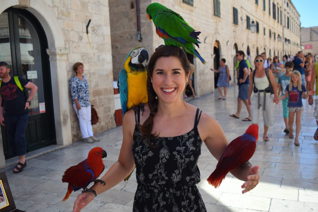 凯特在杜布罗夫尼克的肩膀上骑着4只鹦鹉——绝对值得在我们的克罗地亚之旅中增加这样的体验