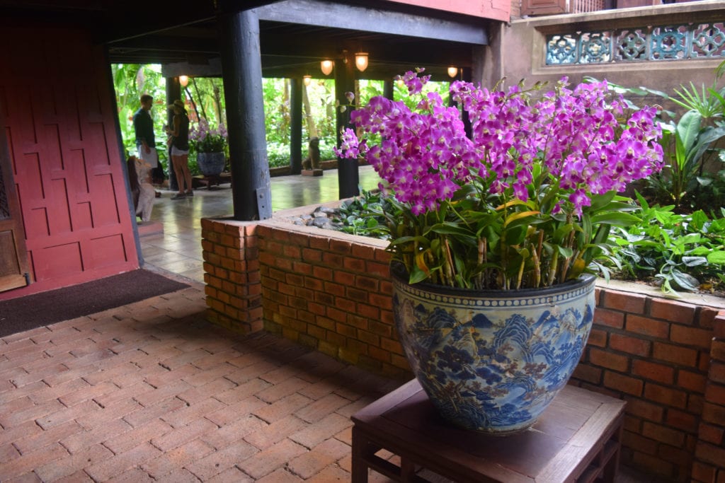 泰国曼谷一座豪宅里的紫色花朵