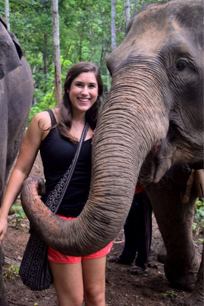 在泰国如何合乎道德地探访大象