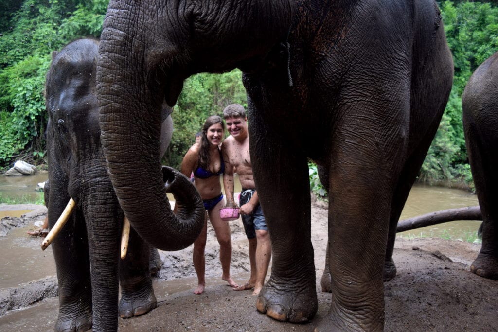 凯特·斯托姆和杰里米·斯托姆在泰国河边给大象洗澡，前景是一头大象