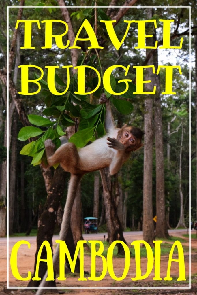 一只小猴子挂在吴哥窟的树枝上，黄色文字写着“柬埔寨旅游预算”。必威体育官方登录