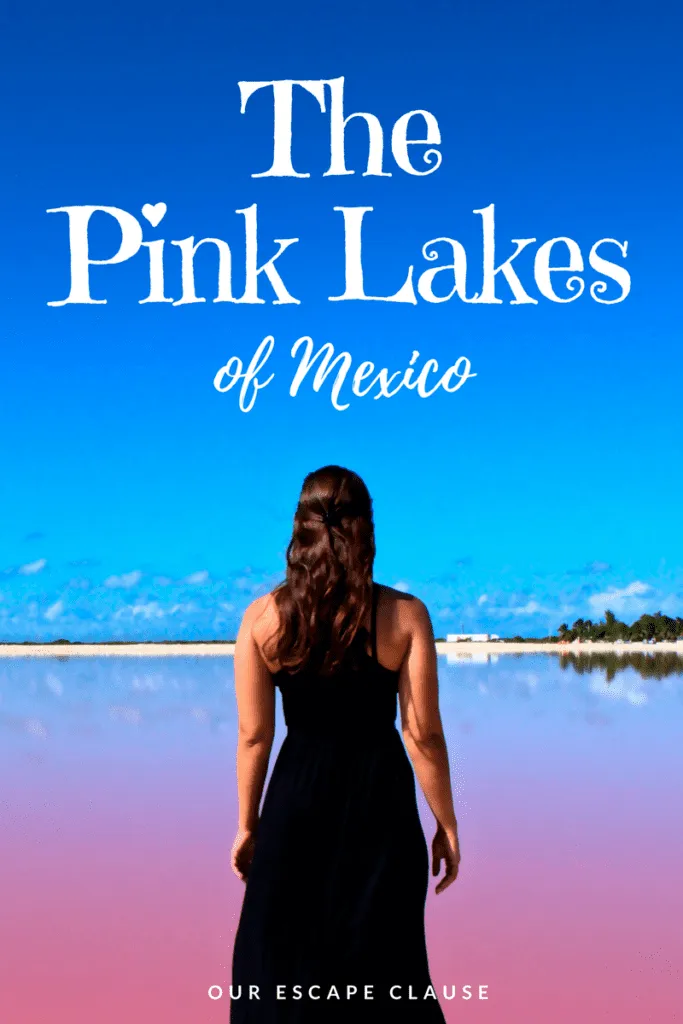 科罗拉多的粉红湖，墨西哥的粉红湖