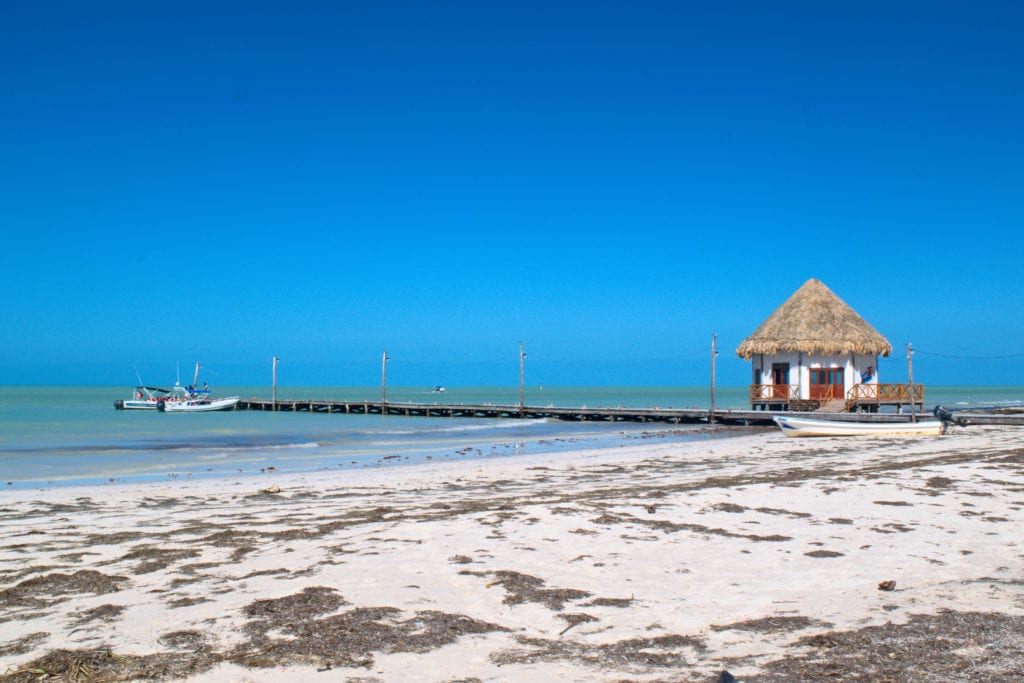 墨西哥holbox岛的海滩，前景是海藻
