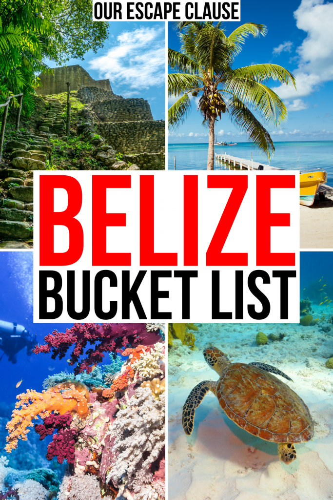4张伯利兹景点的照片，包括角珊瑚，珊瑚，海龟。白底黑红文字写着“伯利兹遗愿清单”