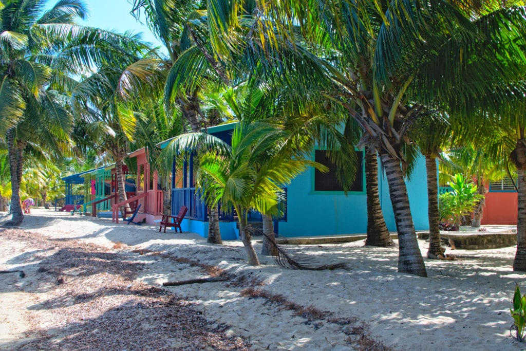 贝利兹placencia海滩上五颜六色的房子被棕榈树包围