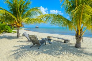 伯利兹placencia的一个海滩上的两把木椅，周围是两棵棕榈树