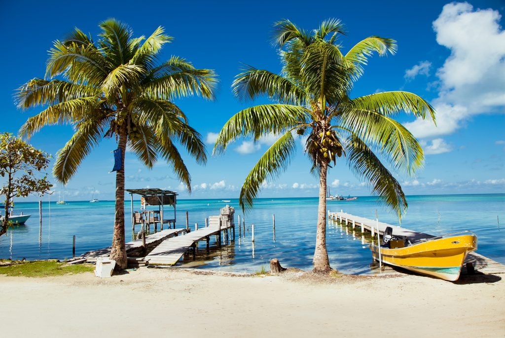 伯利兹岛的一个礁上的码头，四周是棕榈树，旁边是一艘黄色的船