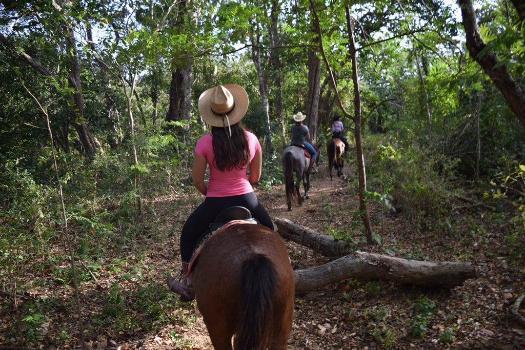 在尼加拉瓜的森林中骑行，凯特身穿粉色衬衫，骑着一匹马在中间