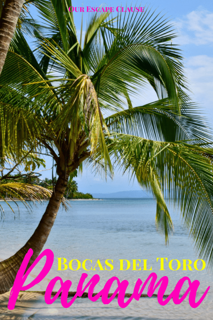 海滩上的一棵棕榈树的照片，黄色和粉色的文字写着“bocas del toro panama”。