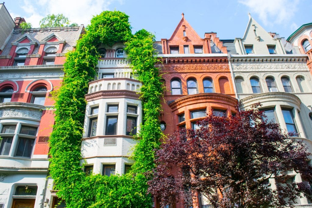 纽约上西区的豪宅，其中一座被常春藤覆盖