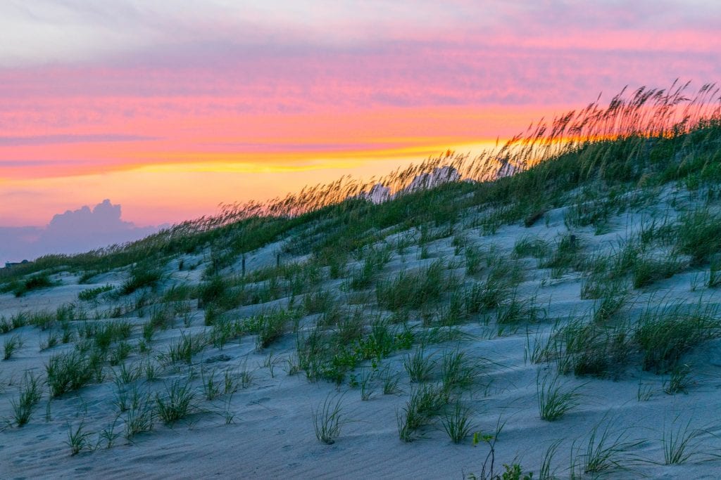 大西洋海滩沙丘上的日落