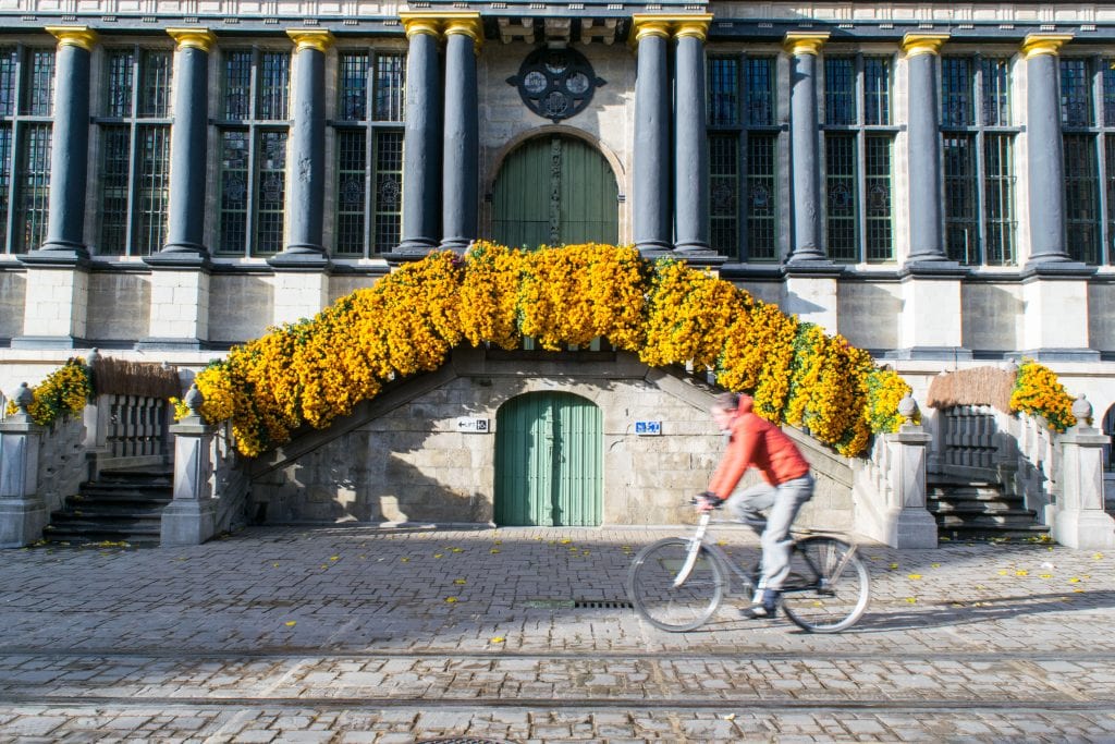 一名男子骑着自行车经过盛开的黄色花朵，根特是比利时最好的旅游景点之一