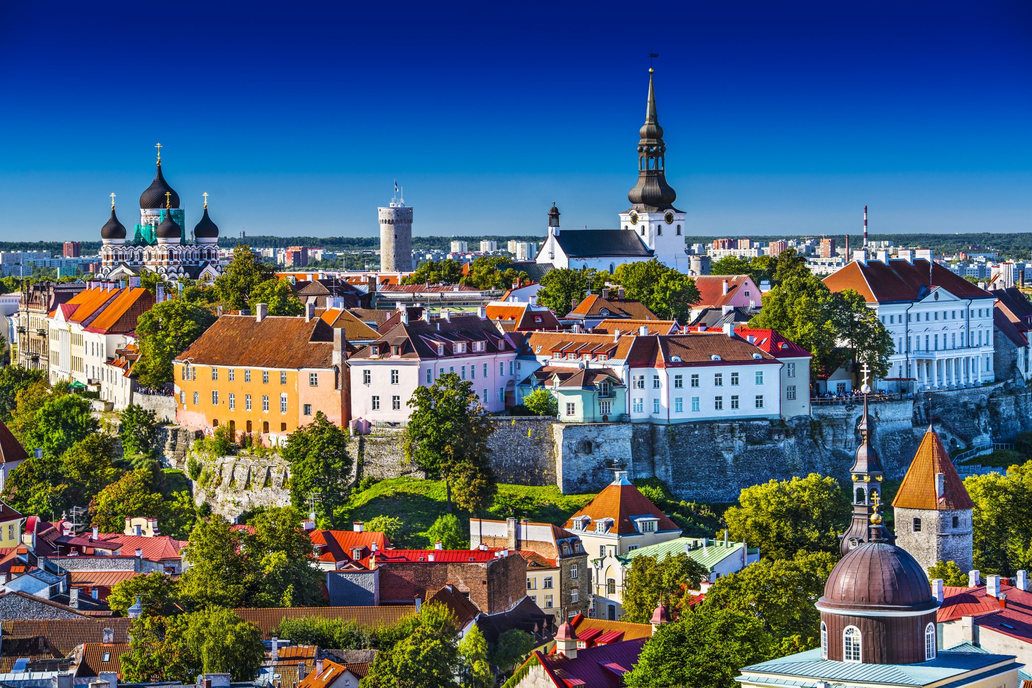 爱沙尼亚塔林美丽的天际线，一个不寻常的和便宜的欧洲旅游目的地