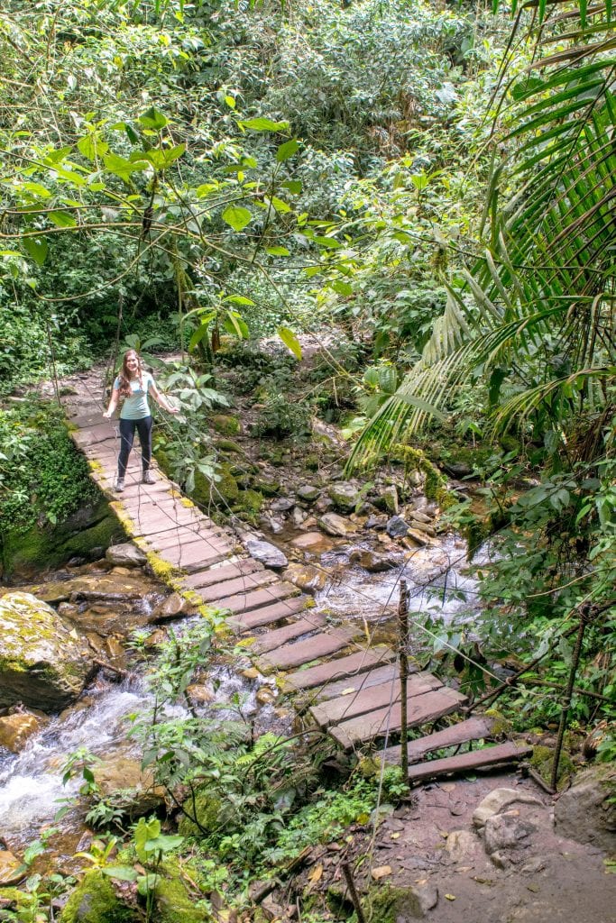 凯特在哥伦比亚萨伦托山谷的一座秋千桥上徒步旅行