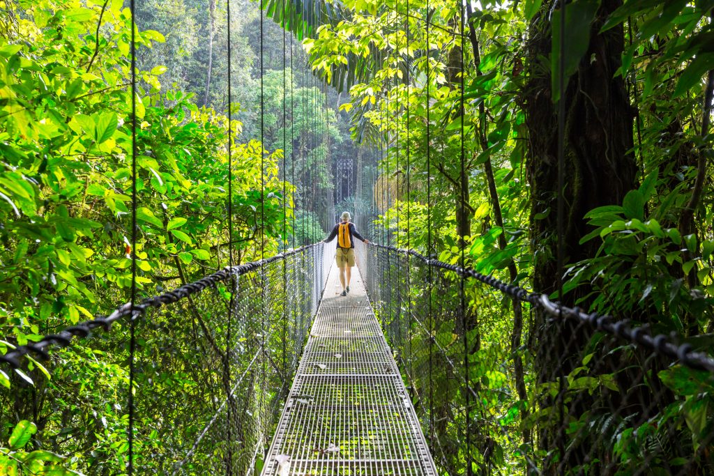在哥斯达黎加尼加拉瓜的丛林中，一个人走在秋千桥上