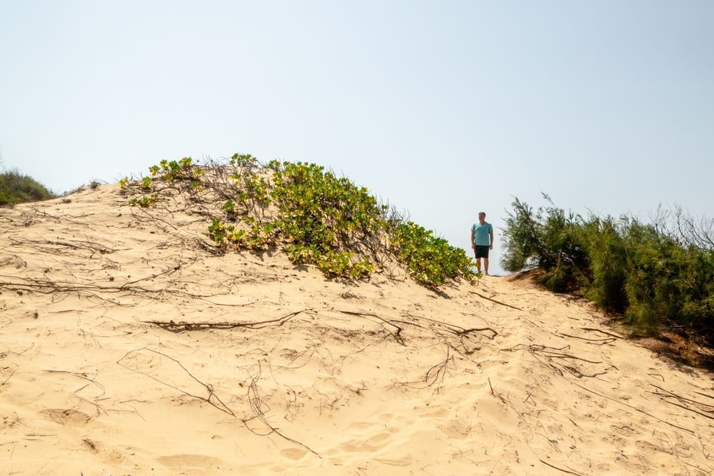 莫桑比克，托福:沙丘