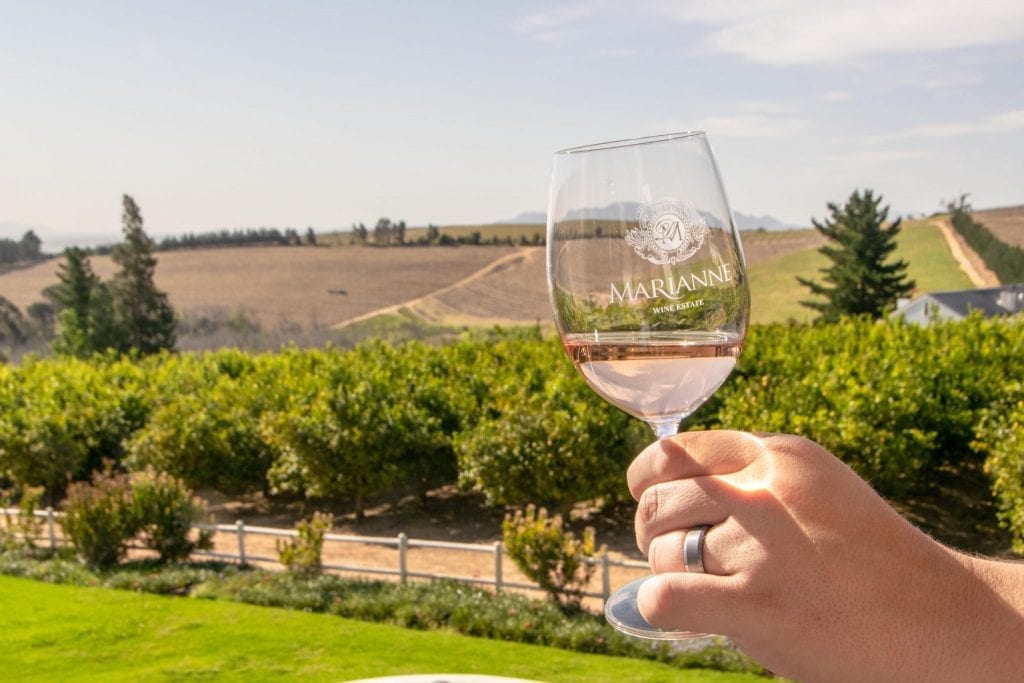 在南非14天的行程中，一杯葡萄酒在葡萄园前举行