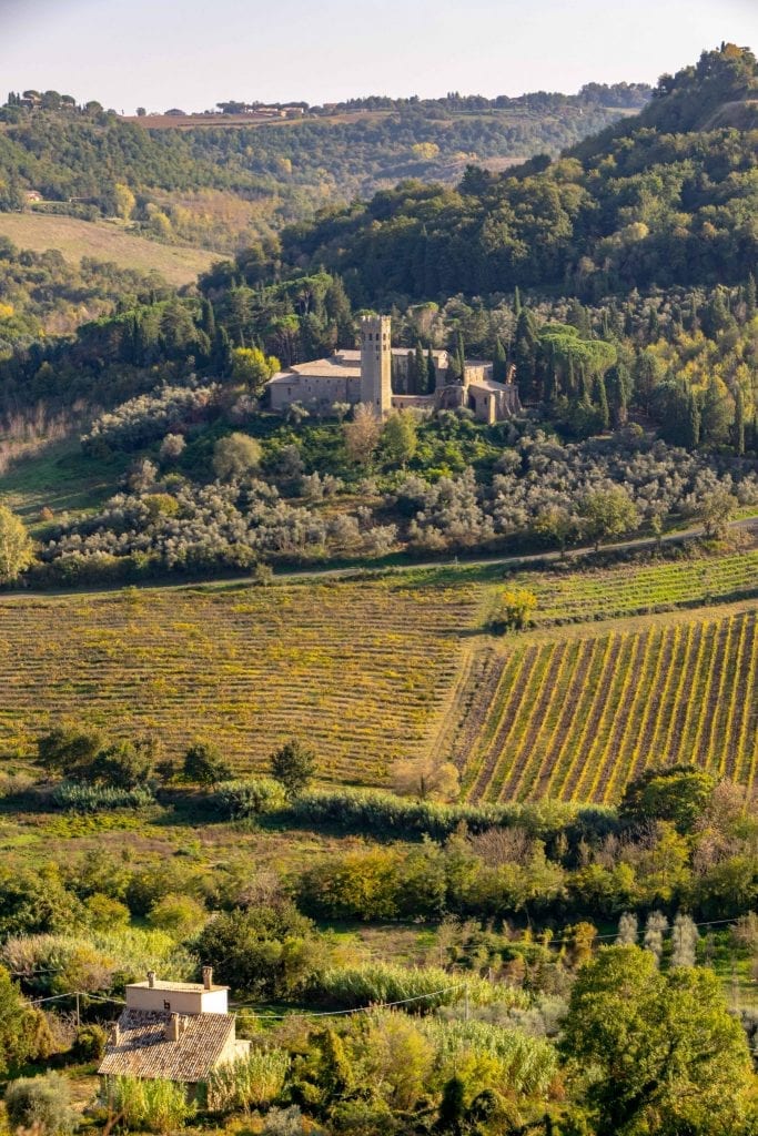 翁布里亚州奥维多附近起伏的乡村，前面是葡萄园，后面是城堡。