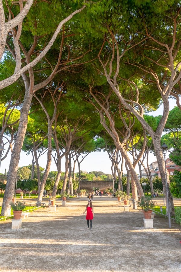 凯特·斯道姆穿着一件红色连衣裙走过意大利罗马的橘子花园——这是去意大利罗马应该带什么东西的一个有趣例子