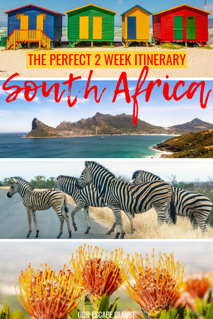 终极两周南非行程:去哪里，做什么，带什么!#南非#非洲#非洲旅行#狩猎#开普敦必威体育官方登录