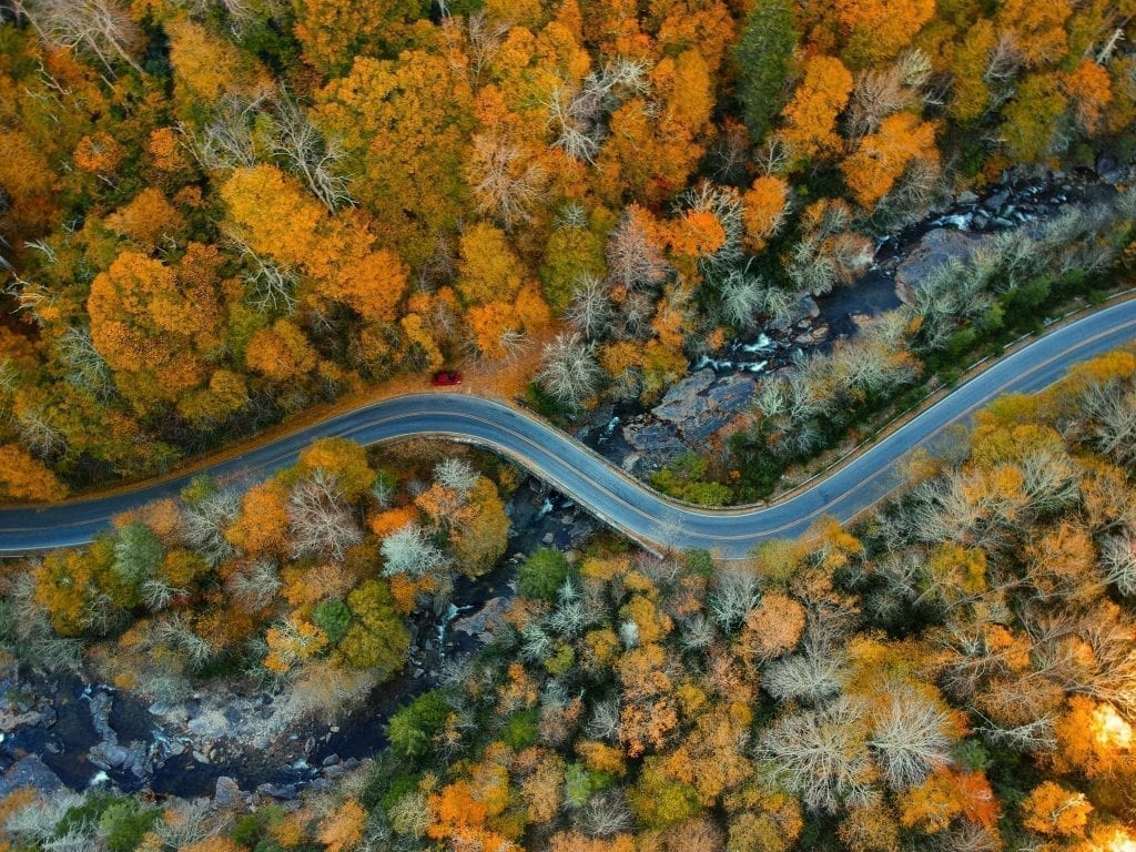 美国蓝岭公园大道在秋天从上方拍摄，道路两边都是秋叶——这是美国最好的周末旅行之一