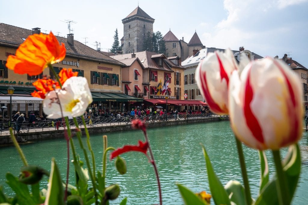Chateau d'Annecy seen behind tulips, Best Things to Do in Annecy France