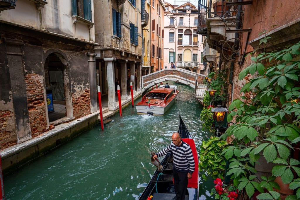 威尼斯运河的照片，旁边是一株植物，一位船夫正对着镜头