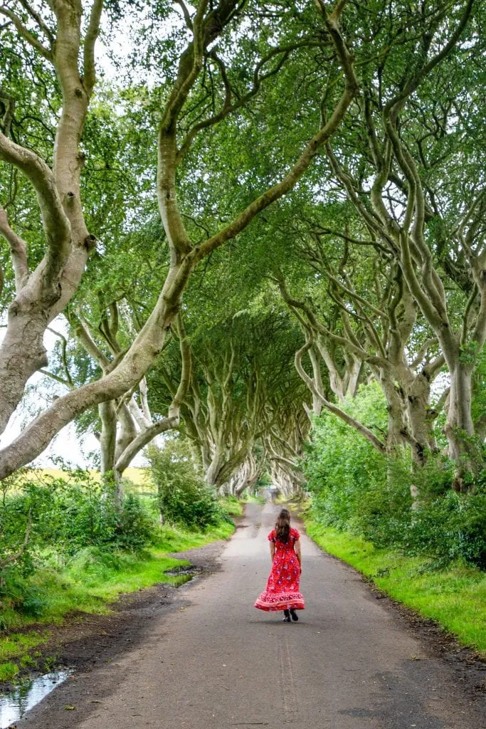 凯特·斯道姆身穿红色连衣裙，背对着镜头站在黑暗树篱，这是北爱尔兰自驾游行程中最受欢迎的景点之一