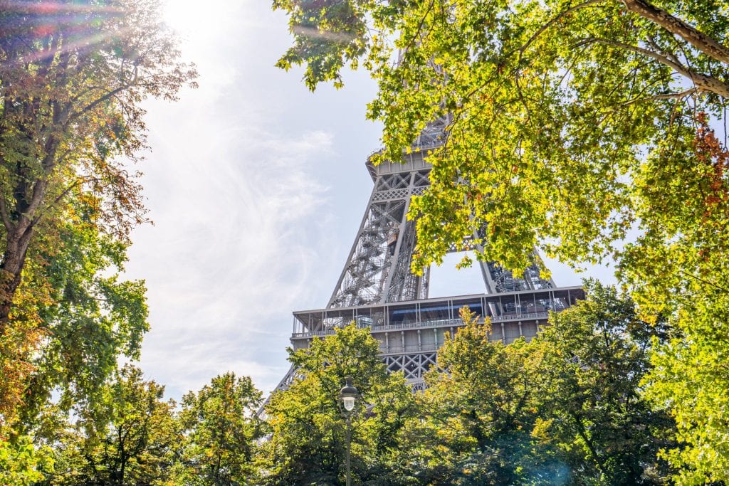 照片中，埃菲尔铁塔的一部分从树后伸出来，屏幕左侧有一个太阳耀斑——在巴黎的周末，你一定会经常看到埃菲尔铁塔!