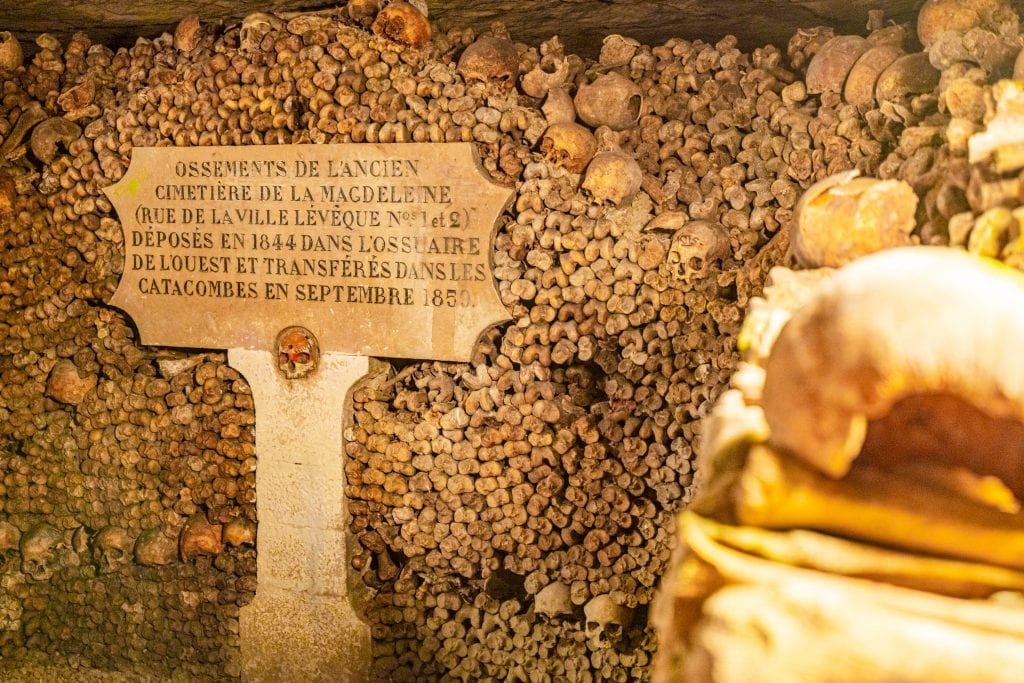 在巴黎地下墓穴之旅中看到的一堆骨头，它们前面有一块纪念牌匾。