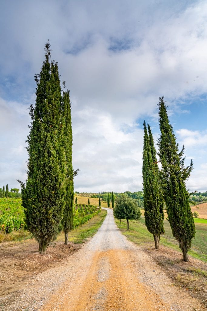 意大利托斯卡纳的土路两旁种着意大利柏树，通往一处待租别墅