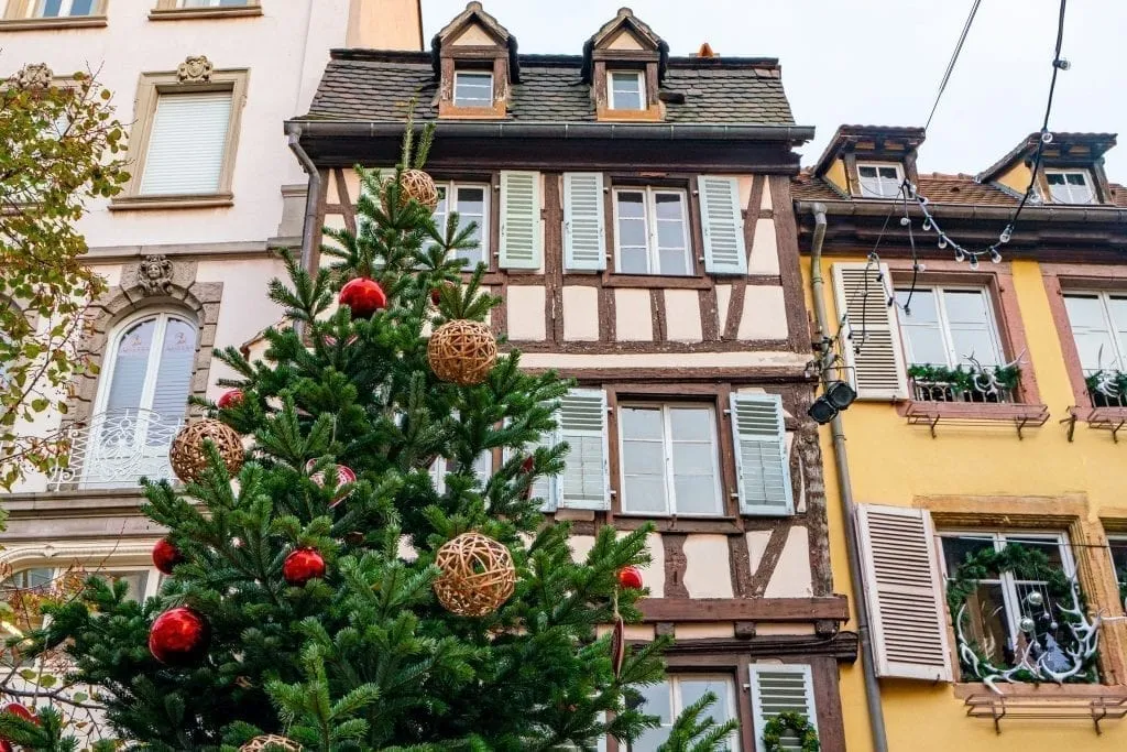 半木结构的建筑，圣诞节期间在它前面有一棵节日树