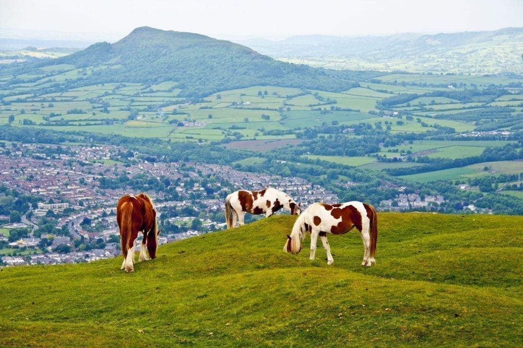 威尔士Brecon Beacons国家公园，三匹马在山上吃草，远处可见起伏的青山和小村庄。威尔士是欧洲最被低估的自驾游之一。