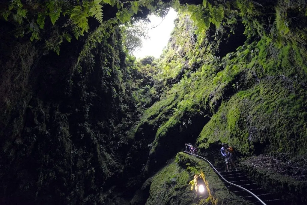 亚速尔群岛Terceira岛上的洞穴，顶部的开口透出光线，右边可见一条小径。