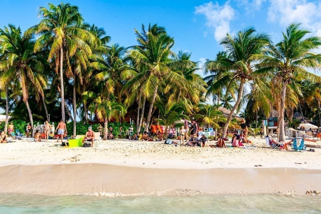 在Playa Norte Isla Mujeres，棕榈树在水里向后看向海岸
