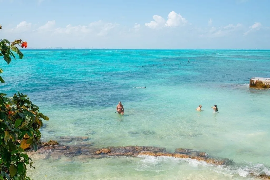 人们在墨西哥mujeres岛的西海岸游泳，前景是一株开花的植物