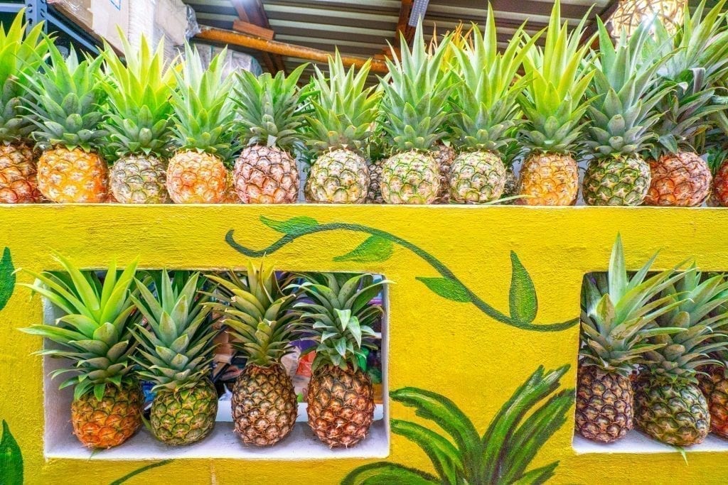 在墨西哥巴卡拉的La Pina餐厅，数十个菠萝沿墙堆放