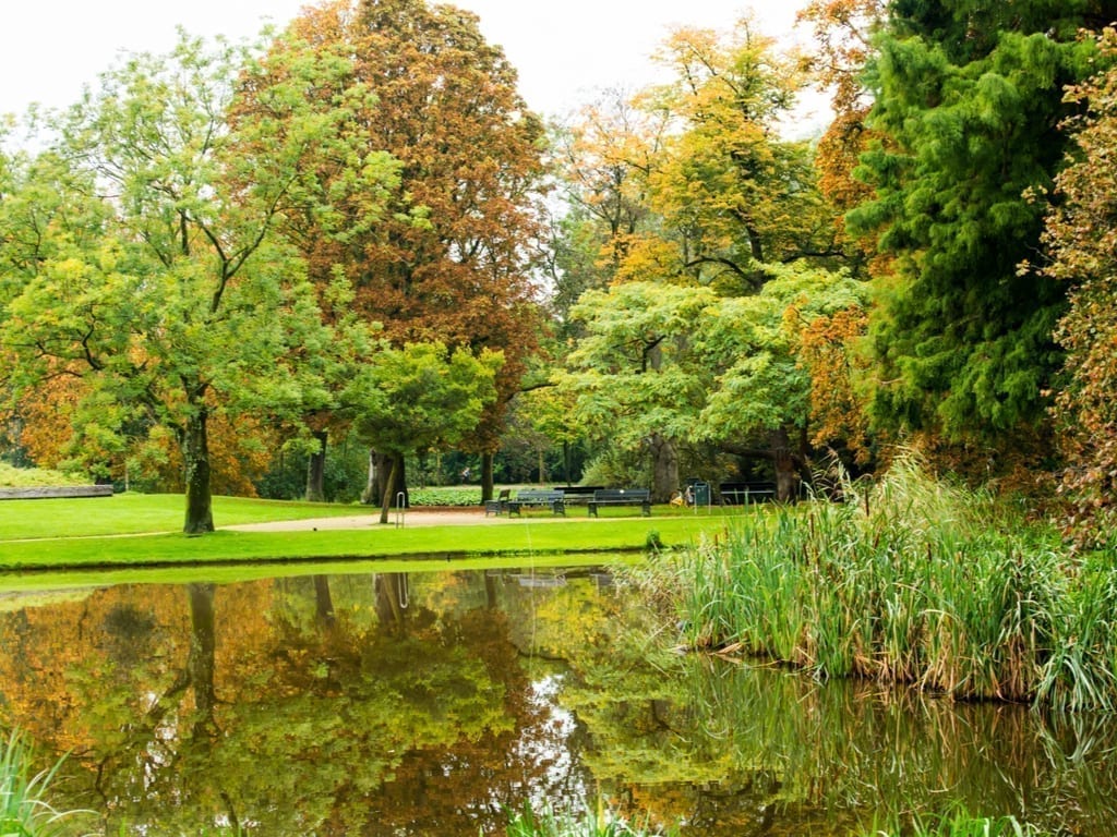 阿姆斯特丹的冯德尔公园，照片的前景是一个池塘