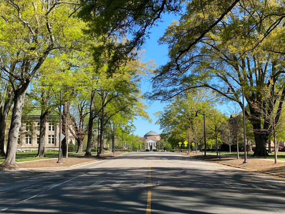 杜克大学校园里，北卡罗来纳州达勒姆的街道绿树成荫