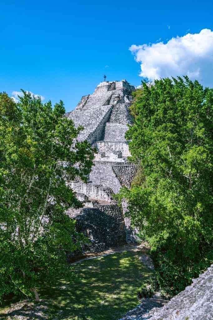 贝肯墨西哥最高的金字塔之一，从树林中露出来