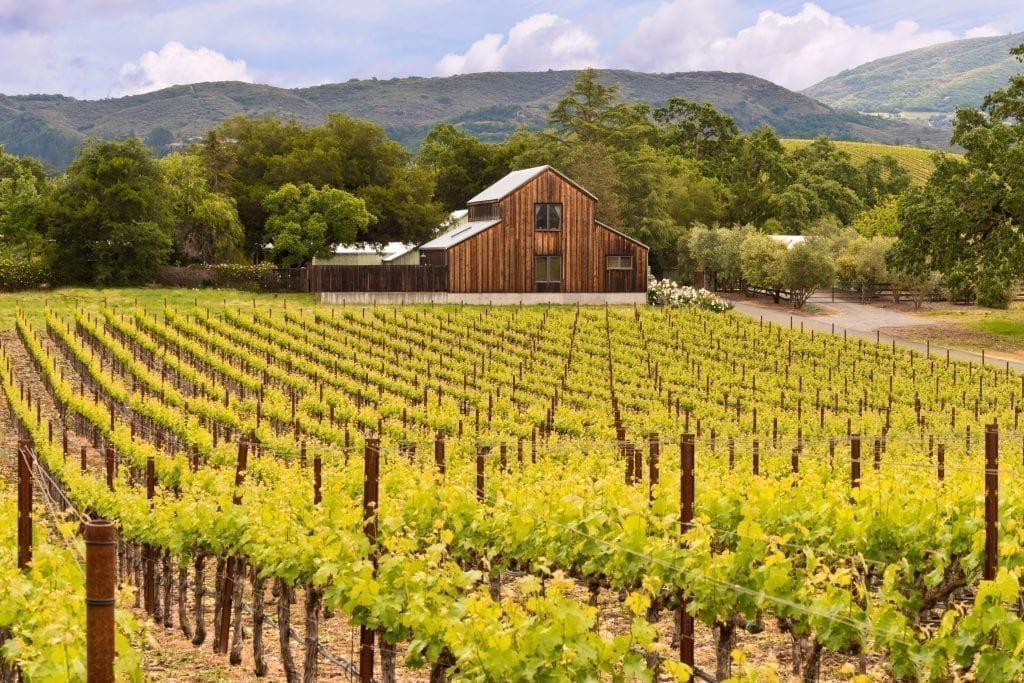 加州纳帕谷的葡萄园，背景中可见木谷仓