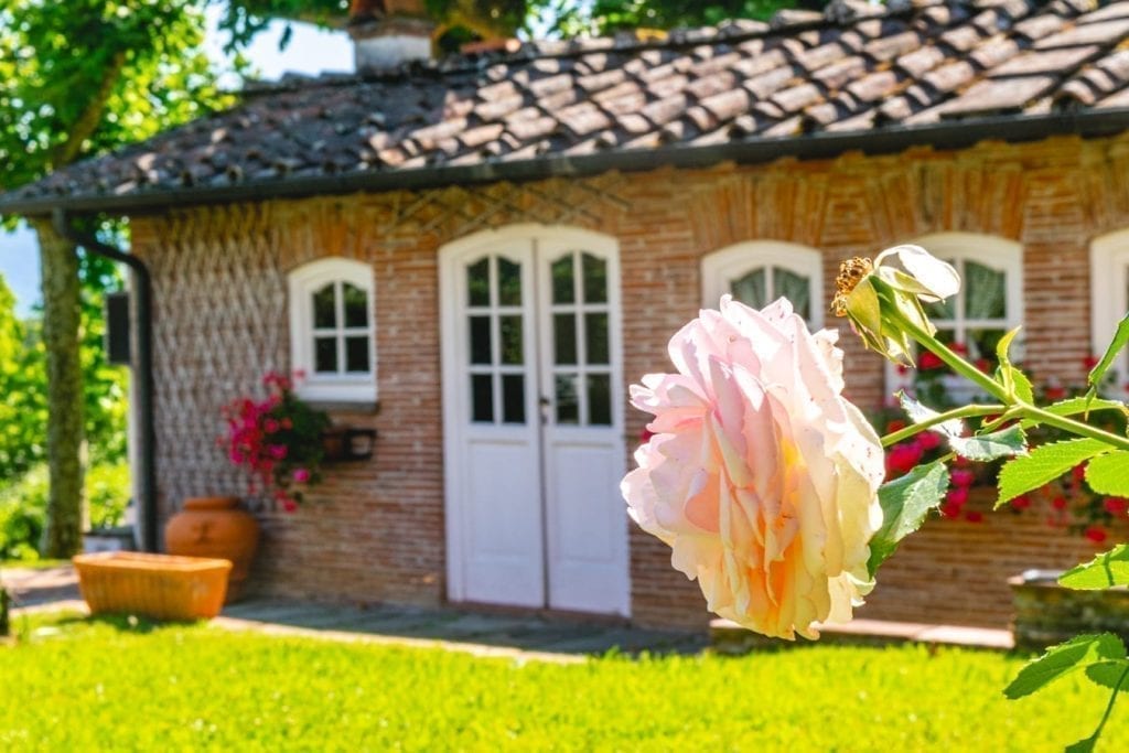 托斯卡纳的小砖砌外屋，白色的门，前景是一朵粉红色的玫瑰，这是在意大利自驾游时看到的