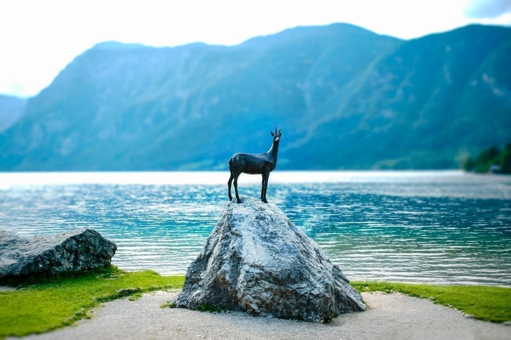 斯洛文尼亚博欣尼湖的金角雕像