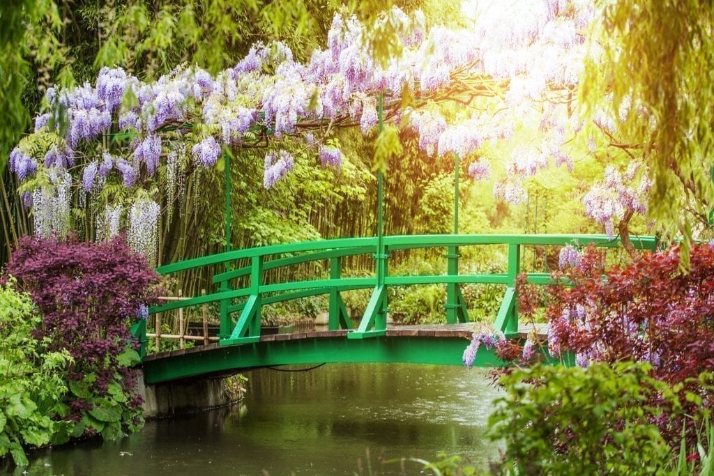 著名的绿色人行桥位于吉弗尼的莫奈花园，盛开的紫藤从桥的顶部延伸而过。